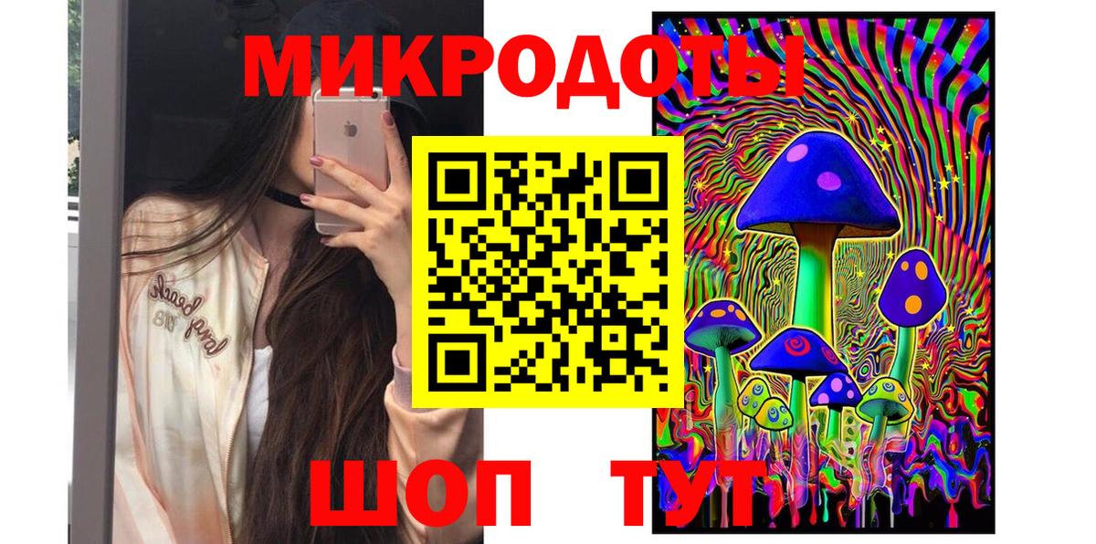 Псилоцибиновые грибы Psilocybe Кольчугино