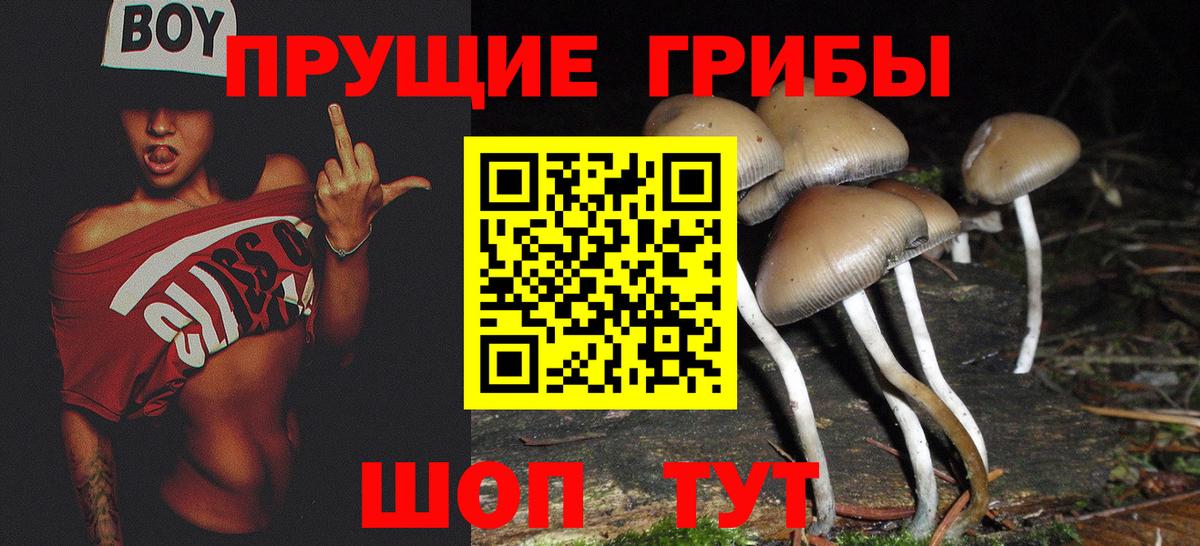 Галлюциногенные грибы мицелий  Вход с VPN  Кольчугино 