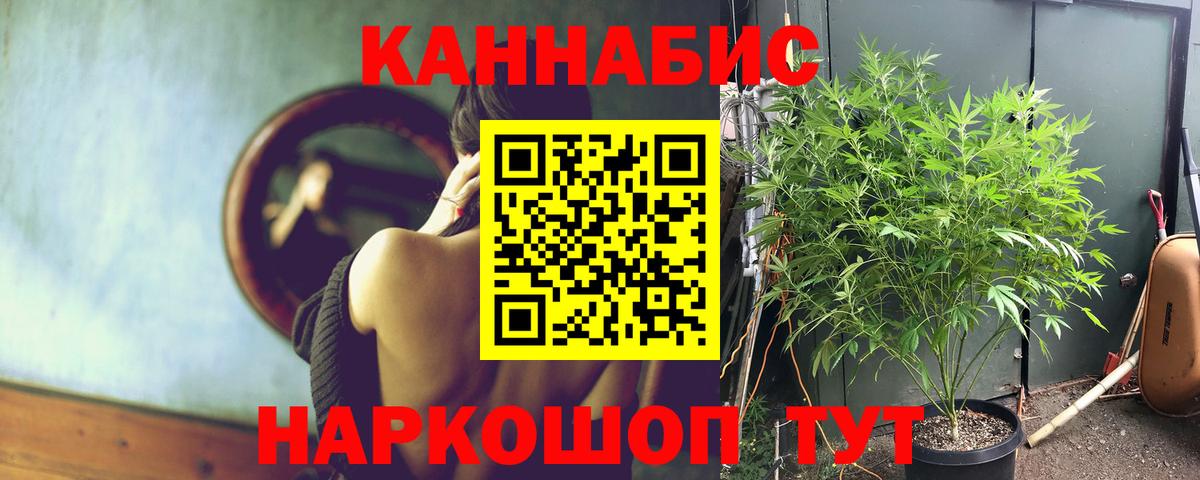 Конопля White Widow Кольчугино