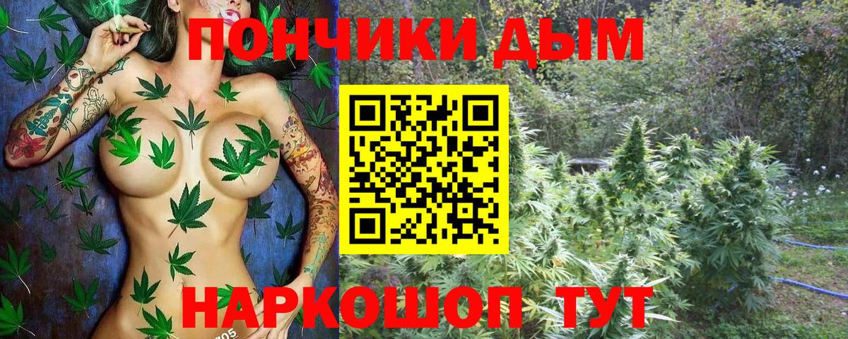 Кольчугино  Конопля VHQ  Бошки Шишки Amnesia  Вход с VPN 